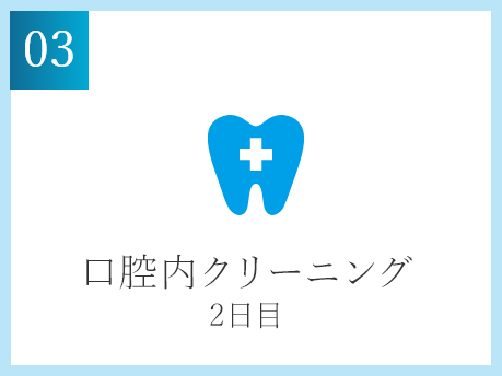 マウストレーの製作